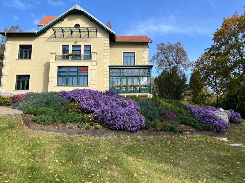 blog-image